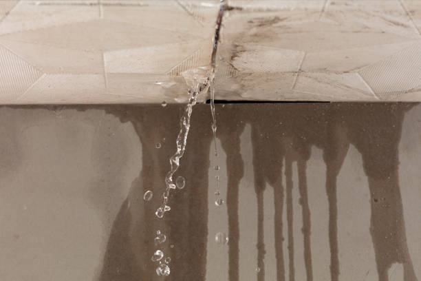 Professional Water Damage Repair technician working in Geneva, IN